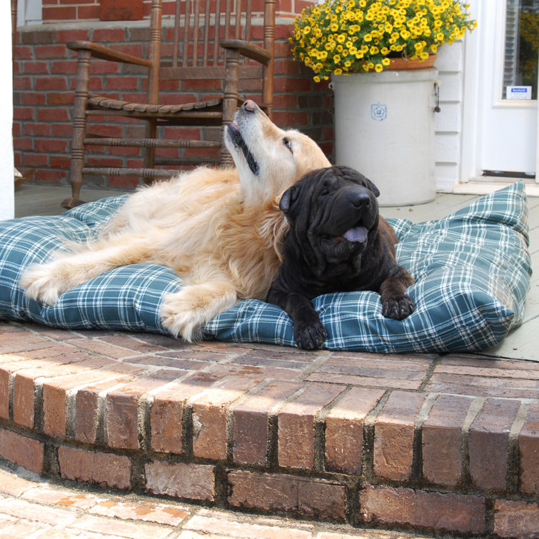 Carolina pet company dog beds hotsell